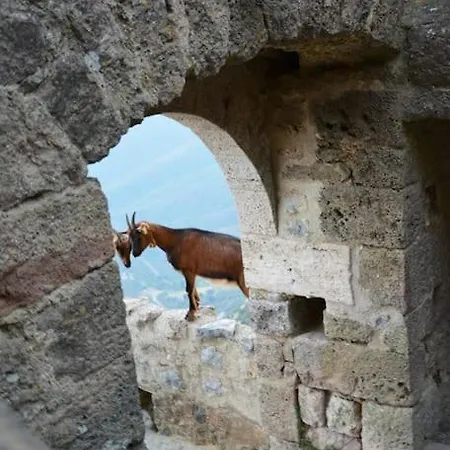 Vilata A Dans Les Corbieres Sauvages Nyaraló Padern