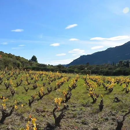 Nyaraló Vilata A Dans Les Corbieres Sauvages