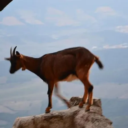 Vilata A Dans Les Corbieres Sauvages *